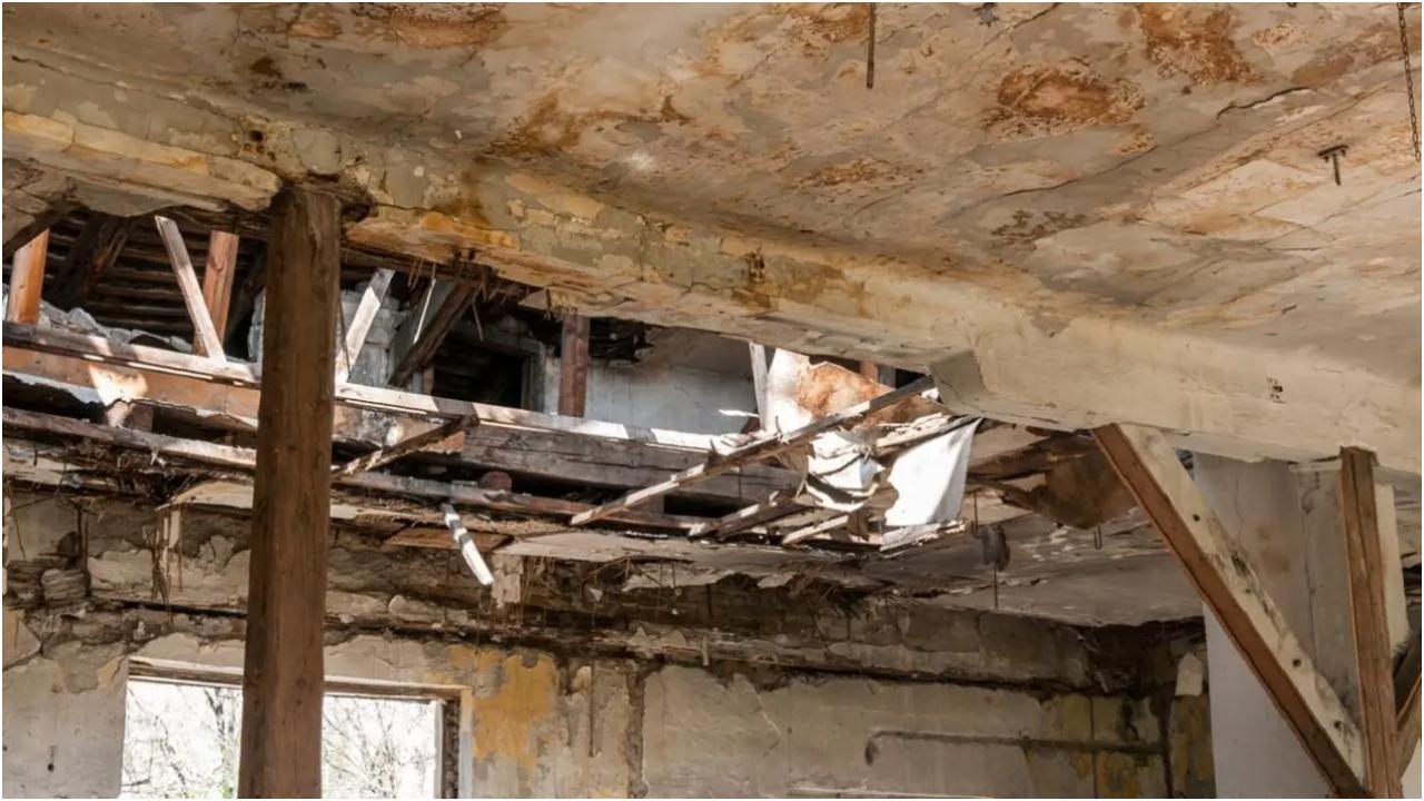 પ્રતીકાત્મક તસવીર